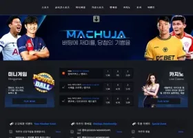 마추자 먹튀 확정