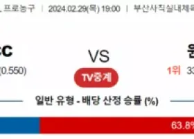 2월 29일 1900 부산KCC vs 원주DB 국내농구분석