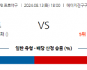 8월 13일 18:00 NPB 야쿠르트 주니치 한일야구분석 스포츠분석