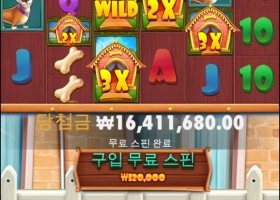 와인 도메가13600배 역대급