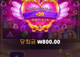 소닉후기 2250배