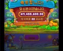 소닉후기 반페 1200배