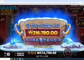 소닉후기 맘모스1000배