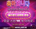 고카 슈가1000