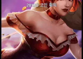 고카 후기