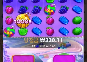 오공후기 보난자 1000곱