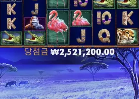 메가후기 럭키이벤트