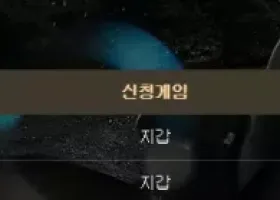 메가 후기