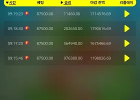 투데이 약 4000배 고배당 ㅎ