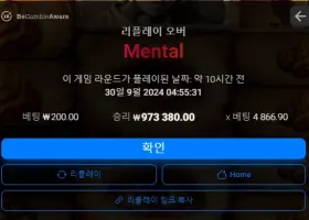 밀리언후기 멘탈 4800 배