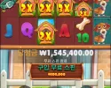 와인 도메가1500배