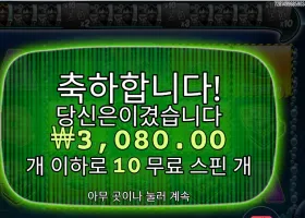 미션 피쉰 스핀 초이스