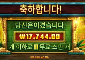 시크릿시티골드 11스핀