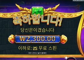 올림푸스 다이스 ２５스핀