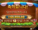 커피와일드 350배