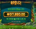 팀버 스택스 190배