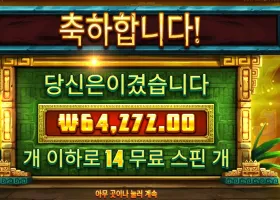 시크릿 시티 골드 321배