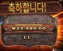 와일드 웨스트 골드 11스핀