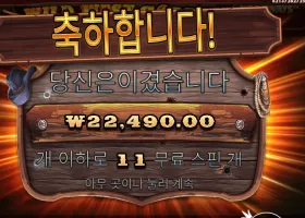 와일드 웨스트 골드 11스핀