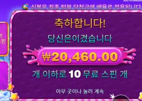 스위트 보난자 1000 2콩