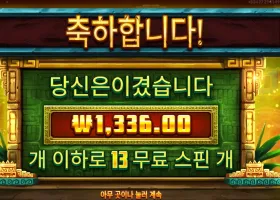 시크릿 시티 골드 13스핀