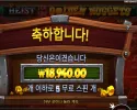 하이스트 포 더 골든 넛지 １９천원