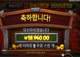 하이스트 포 더 골든 넛지 １９천원