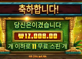 시크릿 시티 골드 12천원