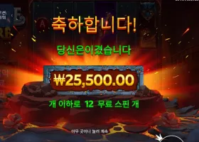 캐슬 오브 파이어 ２５천원