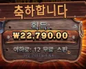 와일드 웨스트 골드 22천원