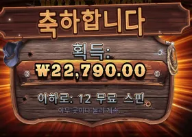 와일드 웨스트 골드 22천원