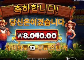 반야드 메가헤이즈 １３스핀