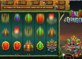 발리 드래곤 터보 스핀