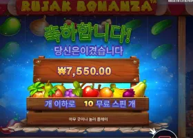 루작 보난자 후기