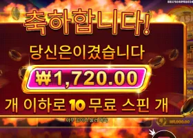 캐시 칩스 １０스핀