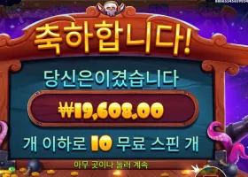 스카이 바운티 19천원