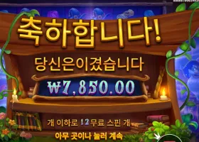 스펠바인딩 미스테리 12스핀