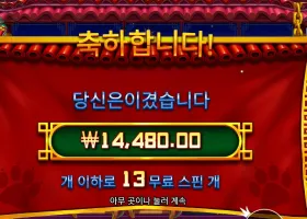 펫 판다 본전치기