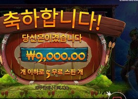 파이어 아처 ９천원