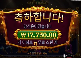 가토 카카즈 퓨리 13스핀