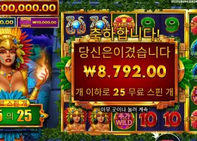 파이어버드 스피릿 25스핀