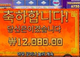 플로팅 드래곤 １２천원