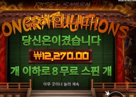 라이즈 오브 사무라이 ３ ８스핀