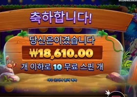 모치몬 １０스핀 후기