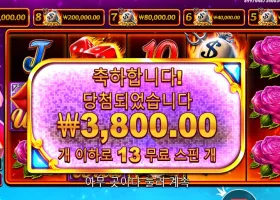 데빌리어스 13스핀