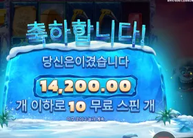 예티 퀘스트 14천원