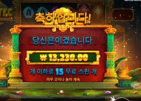 아즈텍 파워넛지 13천원