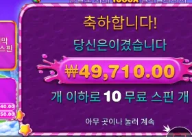 프라그마틱 인기 슬롯 스윗 보난자 82배