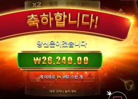 포춘 에이스 3메가