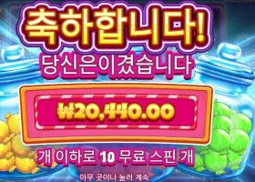 캔디 자 클러스터 후기